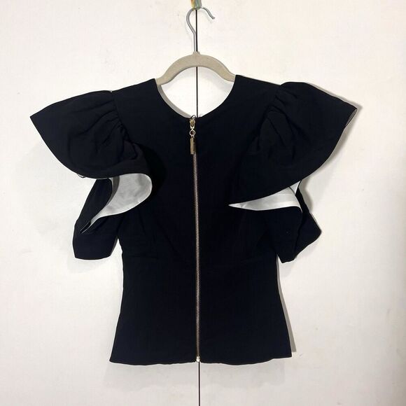 Silvia Tcherassi Blouse Size S Plunging V Neck Dramatic Puff Sleeve Avant Garde - Picture 4 of 8